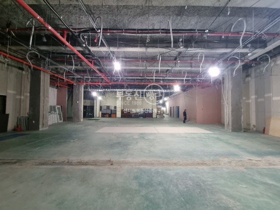 서울 종로구 묘동 단성사동 종로3가역 입구, 공연연습장 월세 매물번호 14714 사진 2